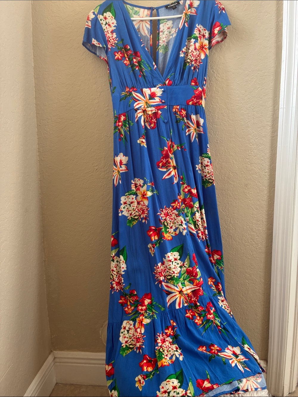 Express Floral V-Neck Maxi Dress in Blue
